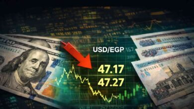 الجنيه المصري يسجل أعلى مستوى له منذ عامين.. والدولار يتراجع